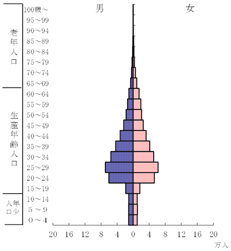 外国人における人口ピラミッドの画像