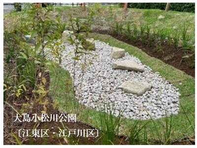 グリーンインフラの写真1