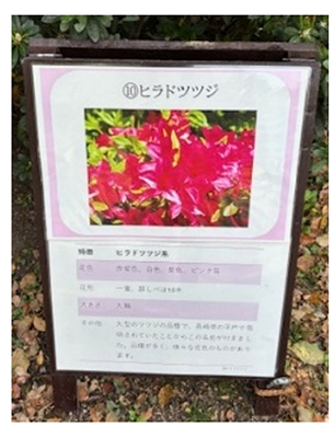 ツツジの樹名板と散策MAPの画像1