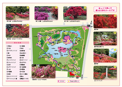 ツツジの樹名板と散策MAPの画像2