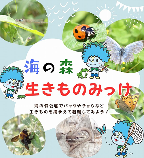 生きもの観察の画像