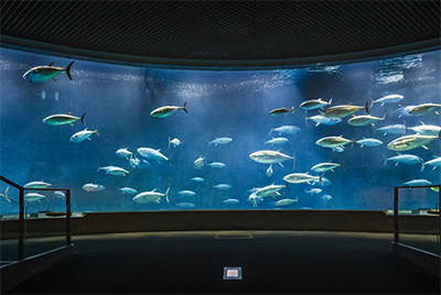 アクアシアターの写真