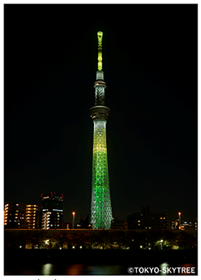 スカイツリーの写真