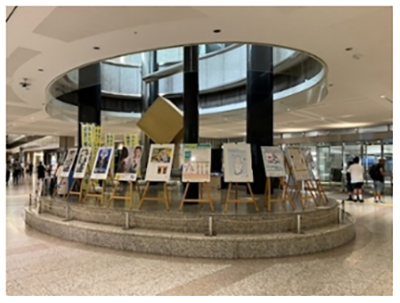展示の写真