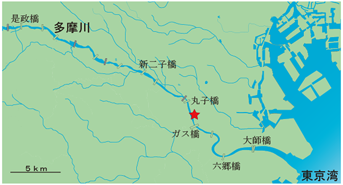 地図の画像