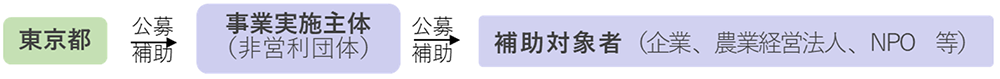 公募・補助のフロー図について説明します。東京都が、今回公募する事業実施主体に補助を行います。事業実施主体は、非営利団体です。補助を受けた事業実施主体は、別途、企業や農業経営法人やNPO等の補助対象者を公募し、補助対象者に補助を行います。