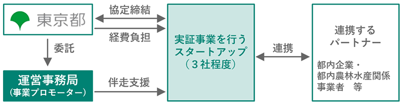 支援内容の画像