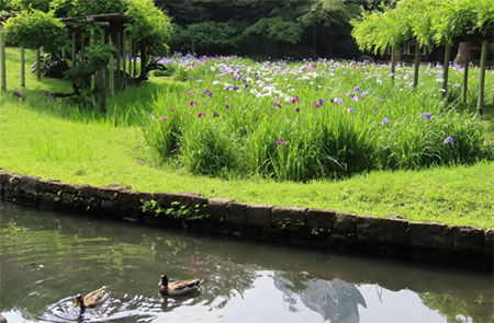 写真13