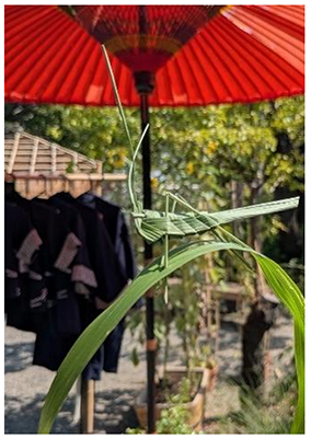向島百花園の写真1
