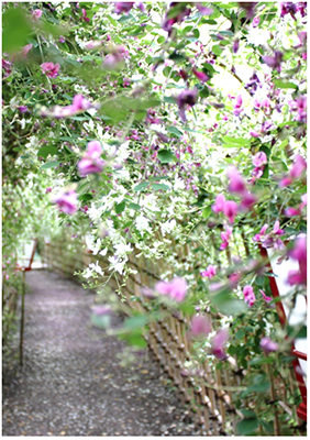 向島百花園の写真2