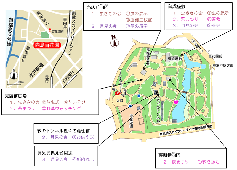 地図の画像