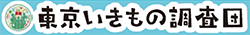 ロゴの画像