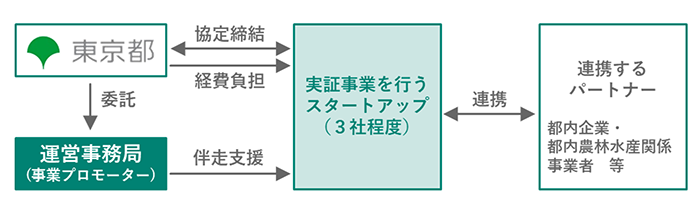支援内容の画像