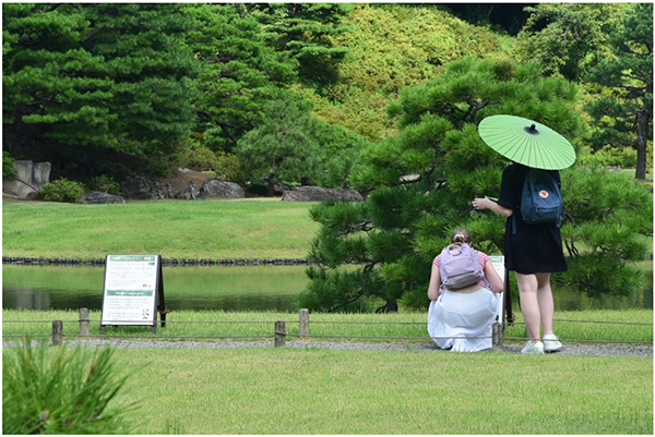 写真1