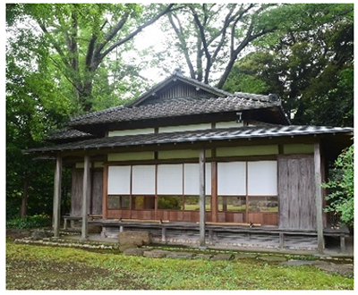 写真6