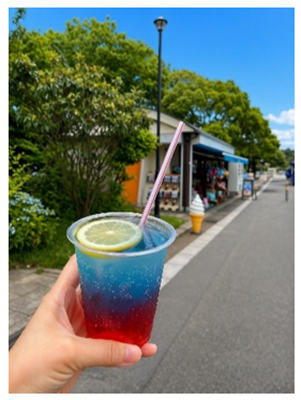 写真2