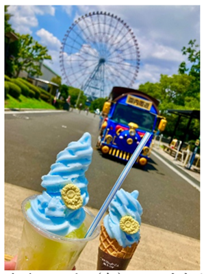 写真3