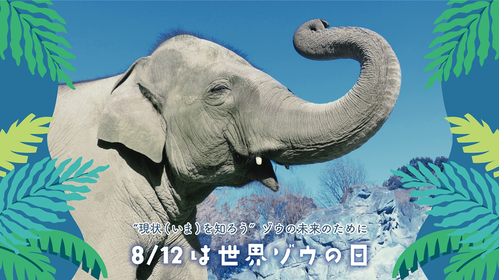 世界ゾウの日の画像