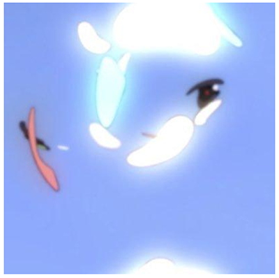 写真3