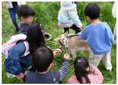 写真1