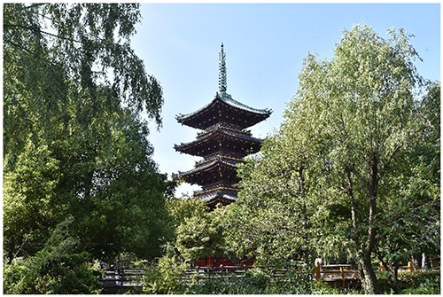 写真2