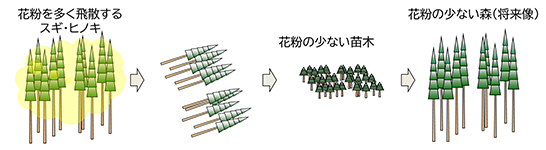 イメージ画像1