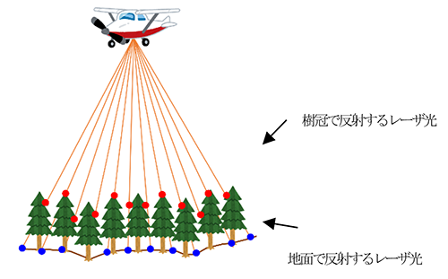 イメージ画像1