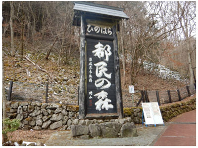 写真2