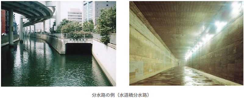 写真5