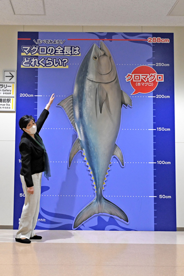 写真1