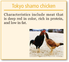 Tokyo shamo chicken