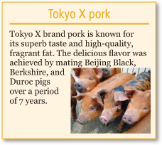 Tokyo X pork