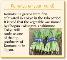 Komatsuna greens (year round)