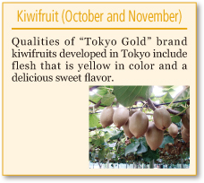 Kiwifruit (October and November)