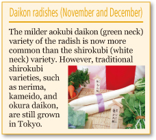 Daikon radishes (November and December)