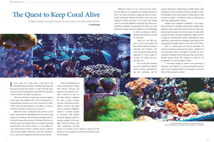 The Quest to Keep Coral Alive