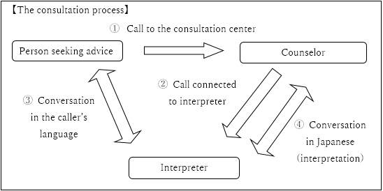 The consultation process