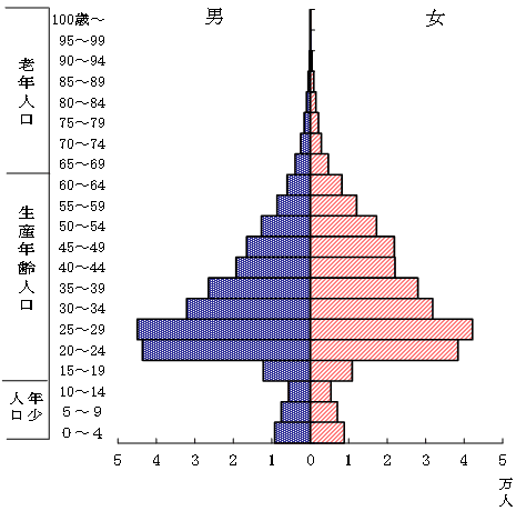 外国人における人口ピラミッドの図