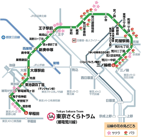 東京さくらトラムの路線図