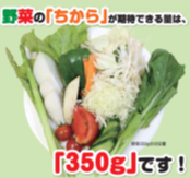 350グラムの野菜のイメージ画像
