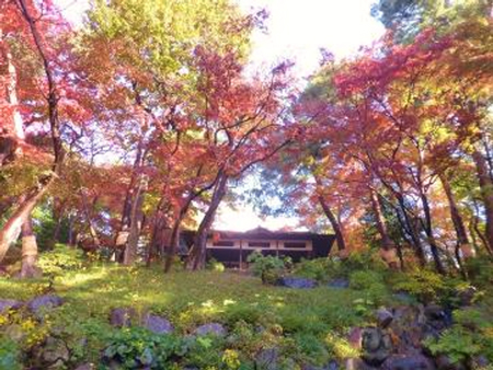 秋の殿ヶ谷戸庭園の写真