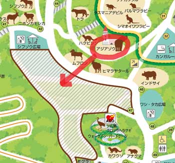 新旧アジアゾウ舎の位置図
