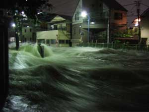 妙正寺川溢水の写真
