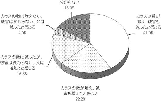 グラフの画像