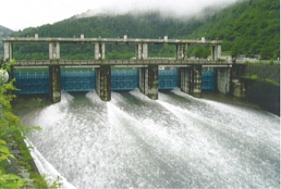 小河内ダムの写真2