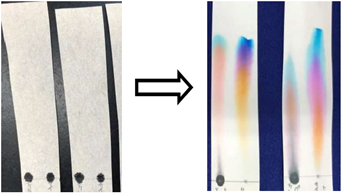 健康安全研究センター 夏休み子供セミナー 東京都 健康安全研究センター 夏休み子供セミナー 東京都