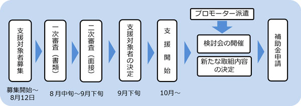 スケジュール図