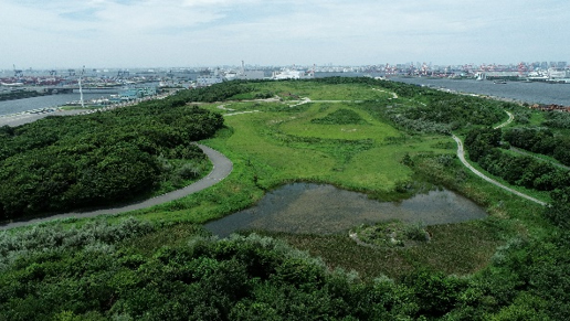 海の森公園とは