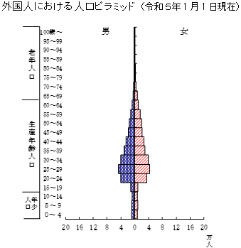 グラフの画像2