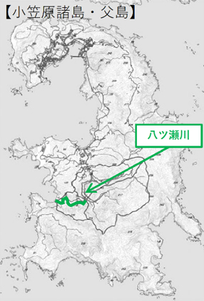 天然砂金 最上川支流一級河川 管理61123